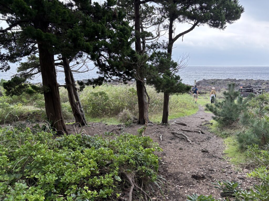 画像に alt 属性が指定されていません。ファイル名: IMG_2178-1024x768.jpeg